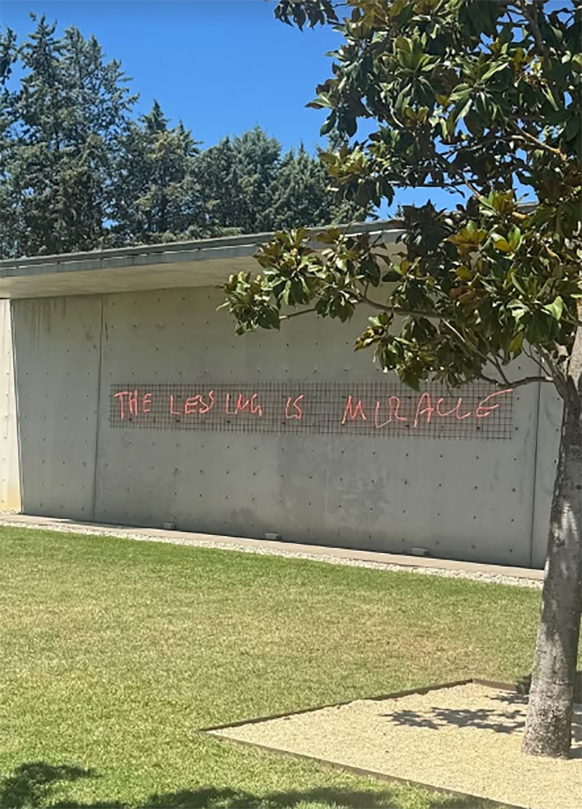 THE LESSING IS MIRACLE